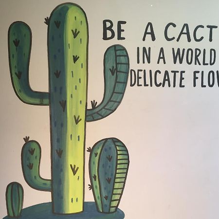 Bajas Cactus Hostel カボ・サン・ルーカス エクステリア 写真