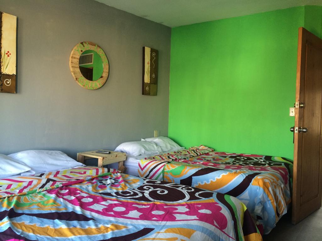 Bajas Cactus Hostel カボ・サン・ルーカス 部屋 写真