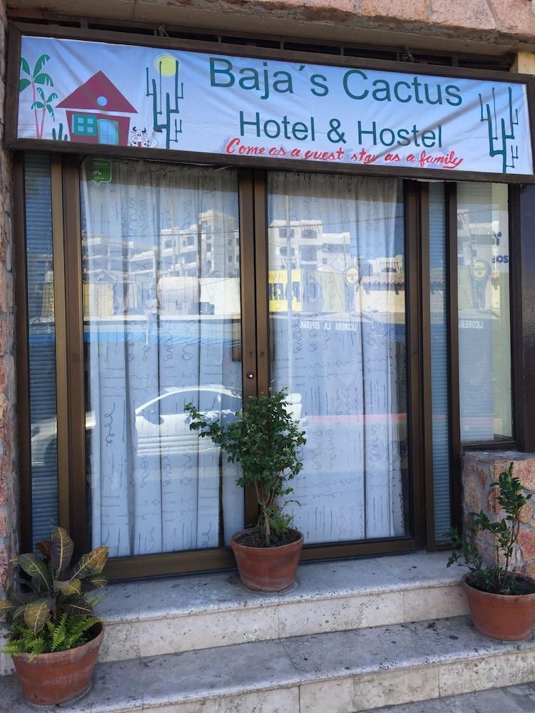Bajas Cactus Hostel カボ・サン・ルーカス エクステリア 写真