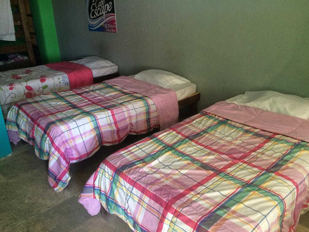 Bajas Cactus Hostel カボ・サン・ルーカス 部屋 写真