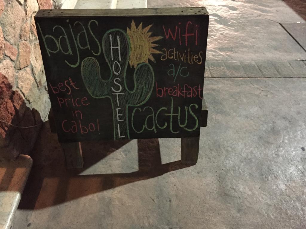 Bajas Cactus Hostel カボ・サン・ルーカス エクステリア 写真