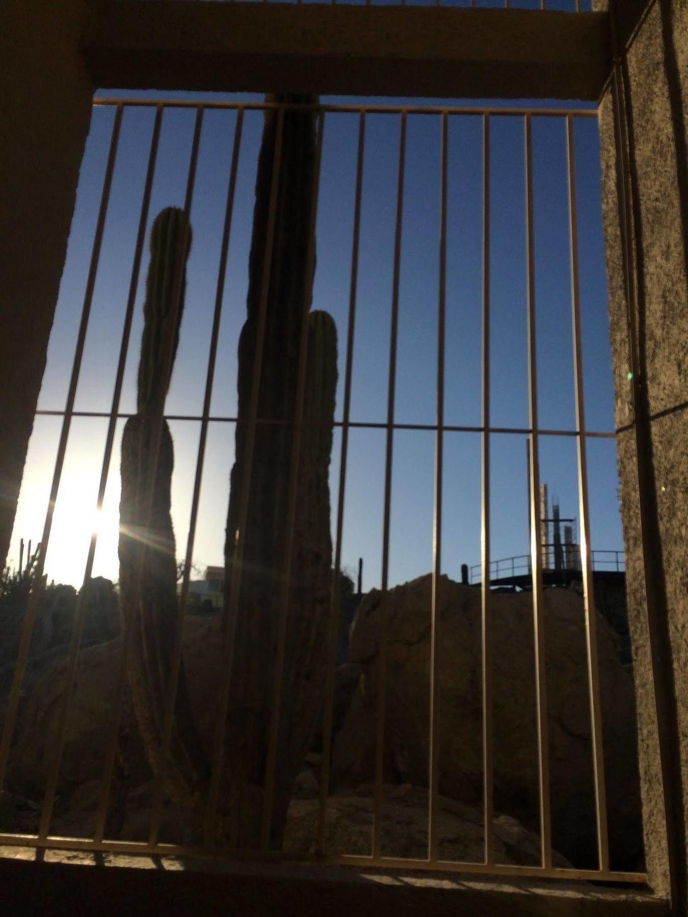 Bajas Cactus Hostel カボ・サン・ルーカス エクステリア 写真