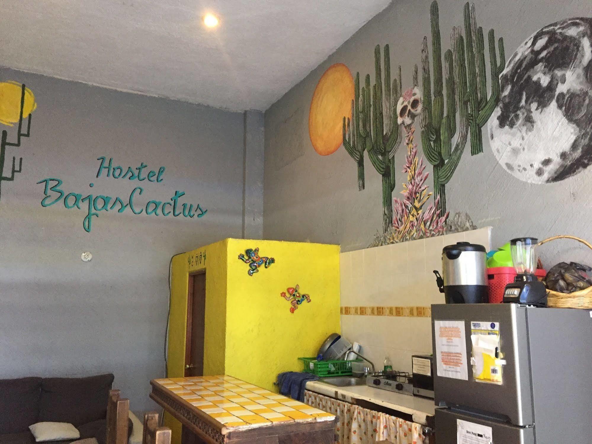 Bajas Cactus Hostel カボ・サン・ルーカス エクステリア 写真