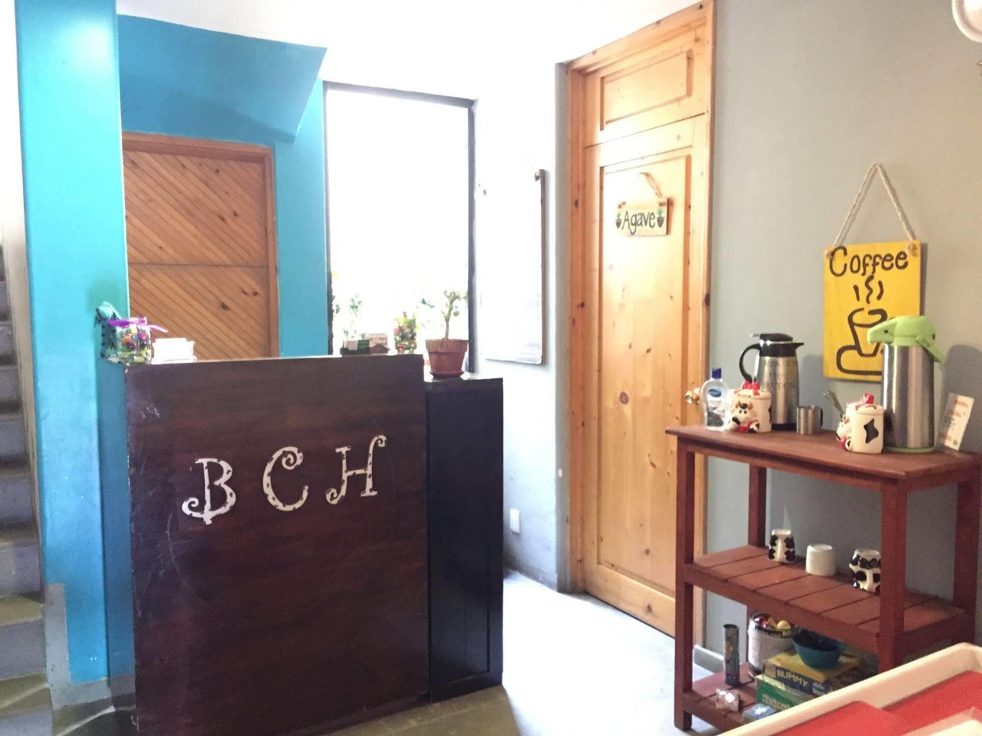 Bajas Cactus Hostel カボ・サン・ルーカス エクステリア 写真