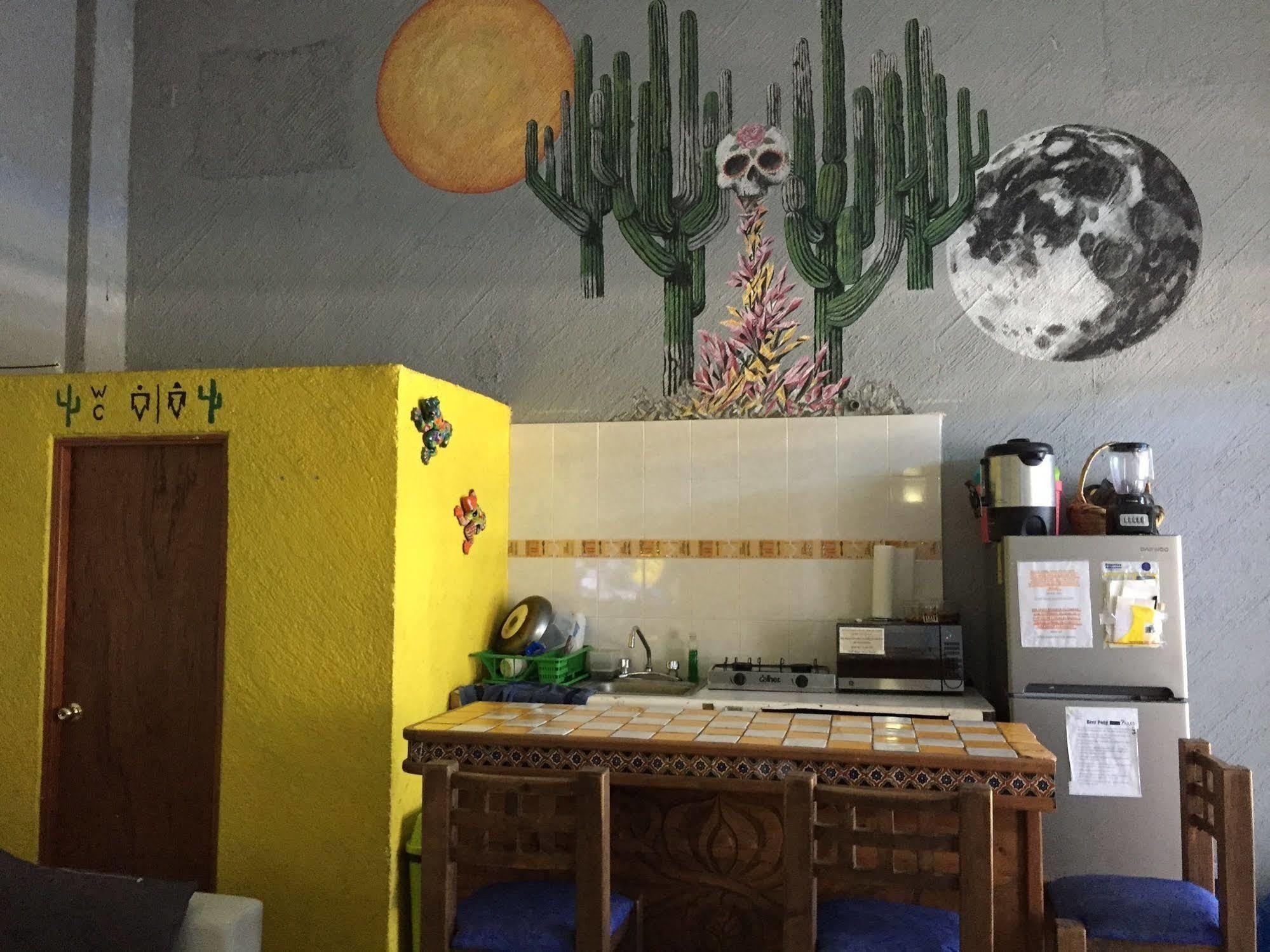 Bajas Cactus Hostel カボ・サン・ルーカス エクステリア 写真