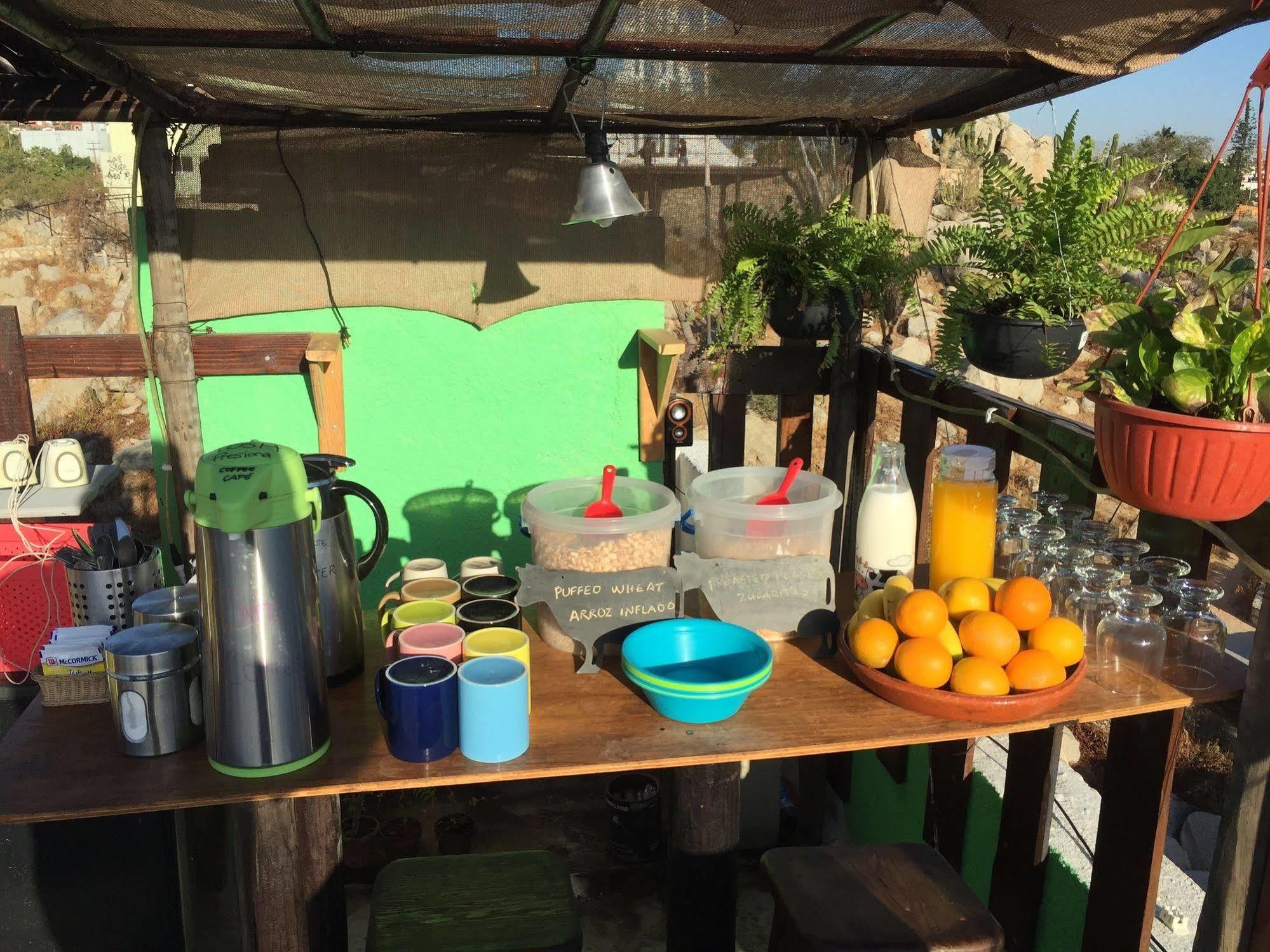 Bajas Cactus Hostel カボ・サン・ルーカス エクステリア 写真