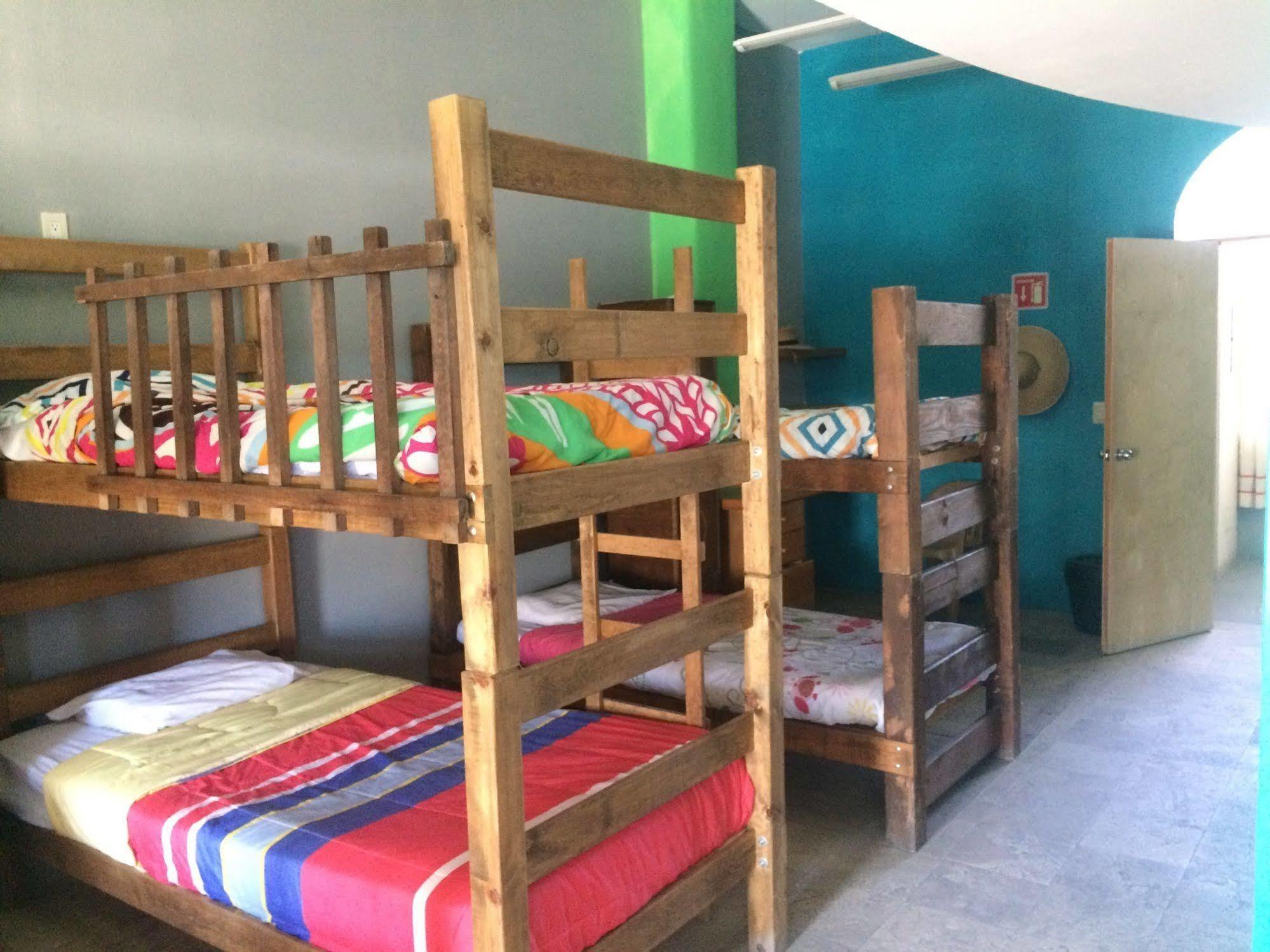 Bajas Cactus Hostel カボ・サン・ルーカス エクステリア 写真