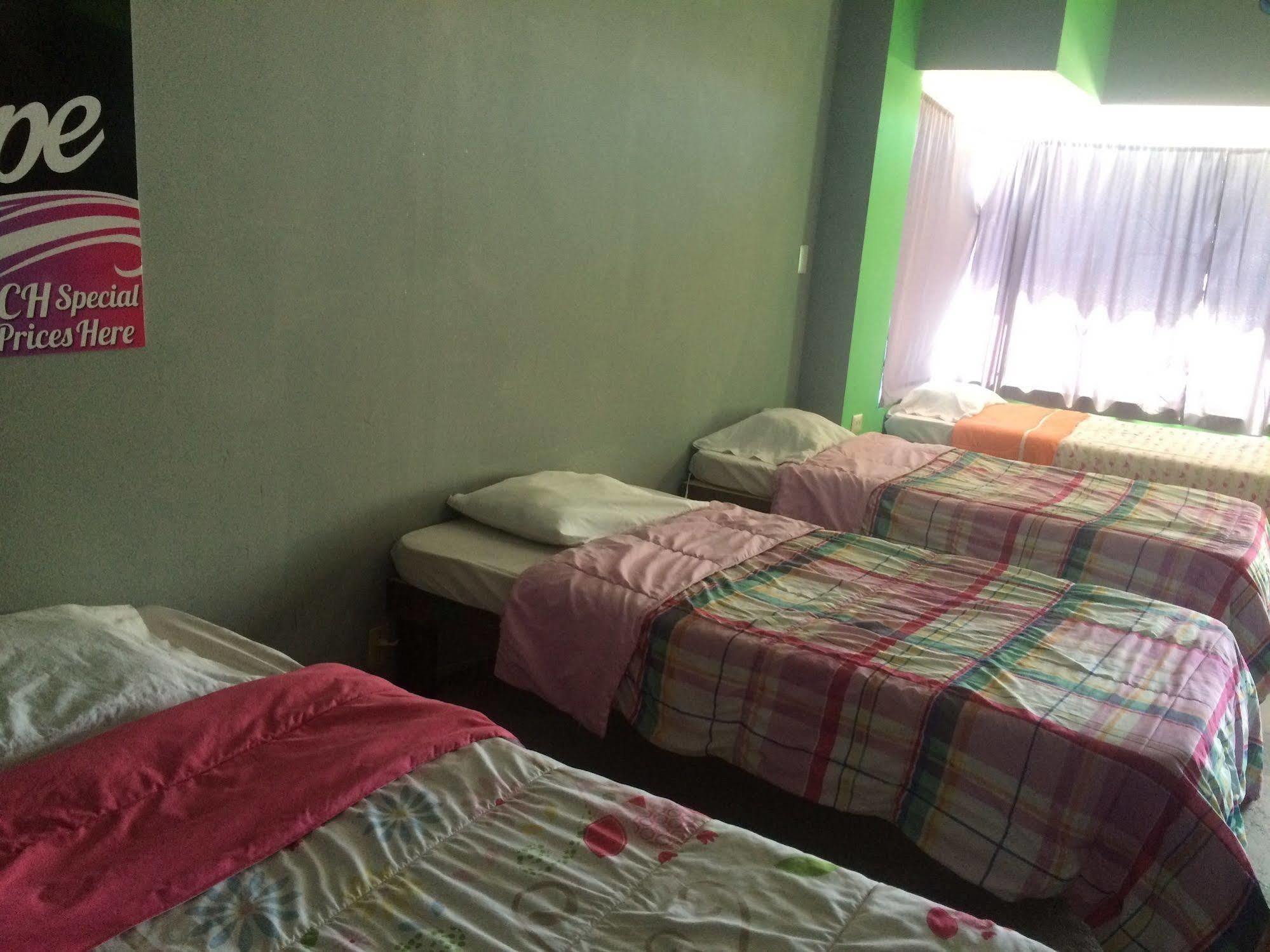 Bajas Cactus Hostel カボ・サン・ルーカス エクステリア 写真