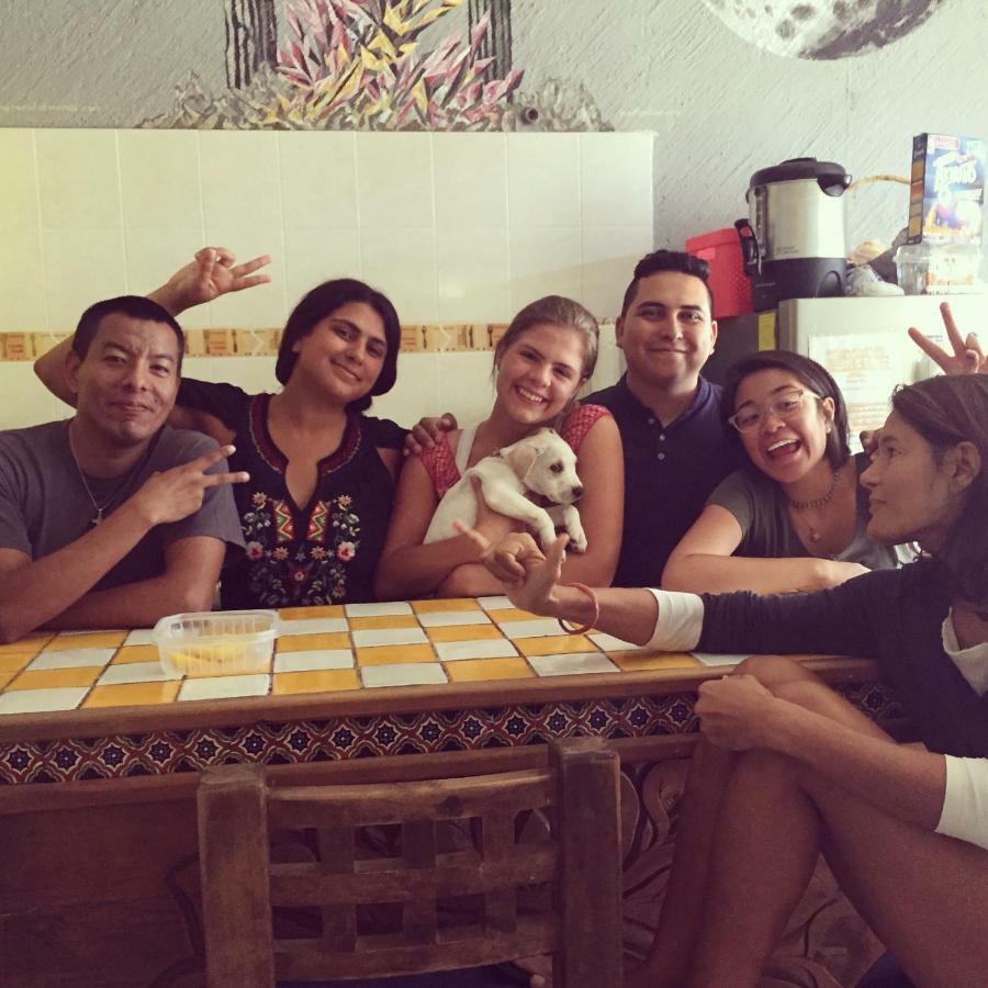 Bajas Cactus Hostel カボ・サン・ルーカス エクステリア 写真
