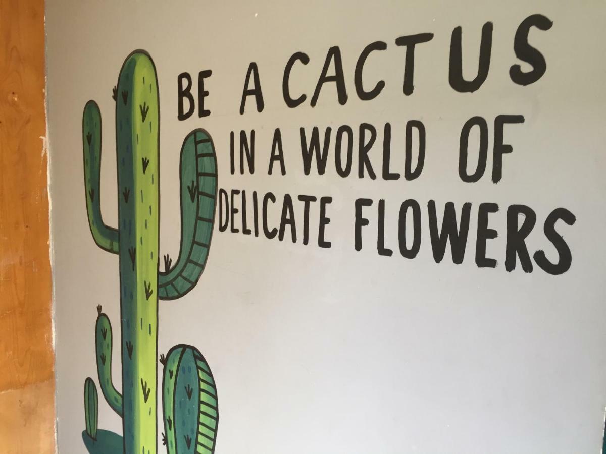 Bajas Cactus Hostel カボ・サン・ルーカス エクステリア 写真